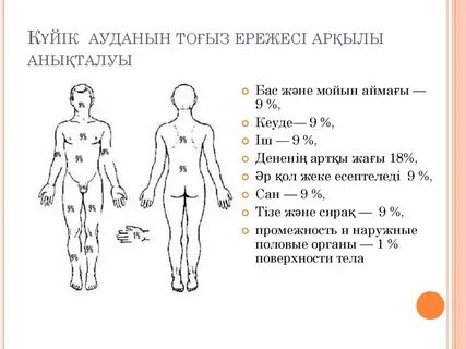 Попки в тар леггинс порно hd
