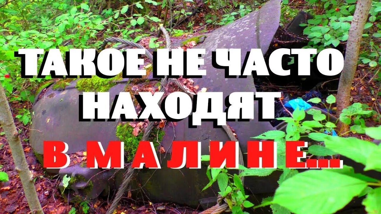 Чертов лес. Чёртов лес на оре.