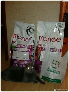 Корм kissa отзывы