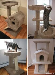 Строят котам дома