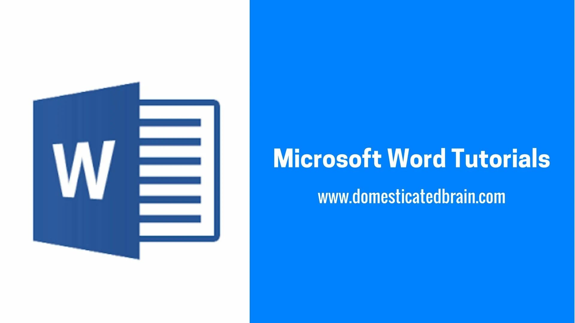 Бесплатная программа microsoft word. Ворд. MS Word. Microsoft ворд. MS Word логотип.