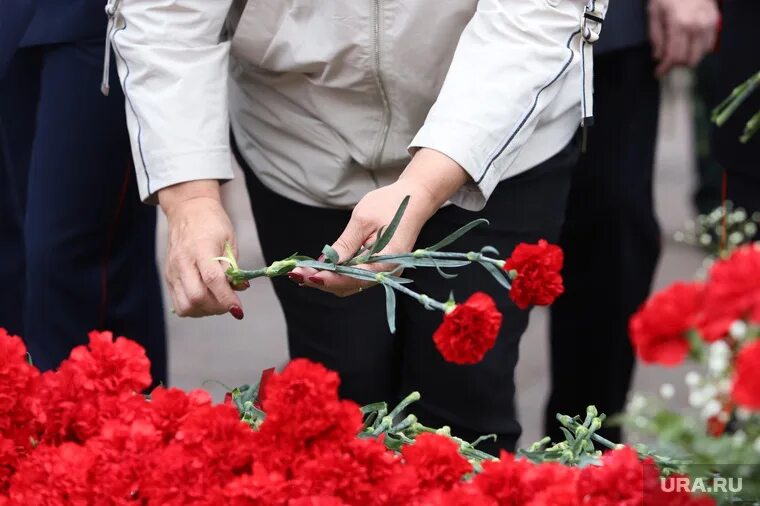 Возложить гвоздику. Корзина с гвоздиками для возложения. Гвоздики у вечного огня. День памяти и скорби гвоздики.