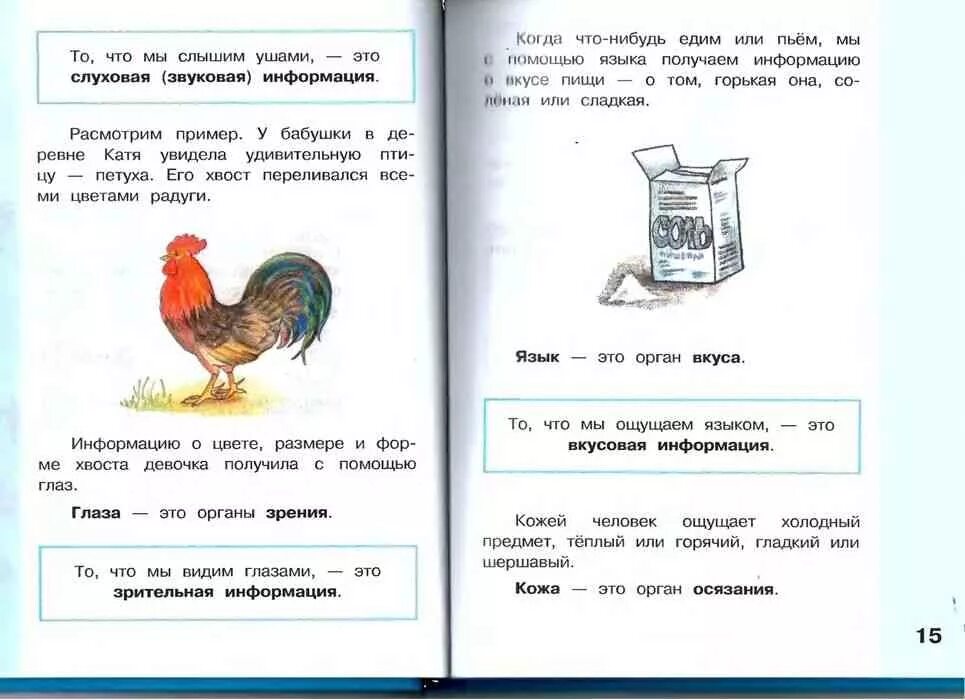 Информатика 2 класс ответы. Учебник информатики 2 класс матвеева 2 часть. информатика 2 часть 2 класс матвеева челак учебник. учебник по информатике 2 класс матвеева 1 часть. информатика 2 класс учебник матвеева.