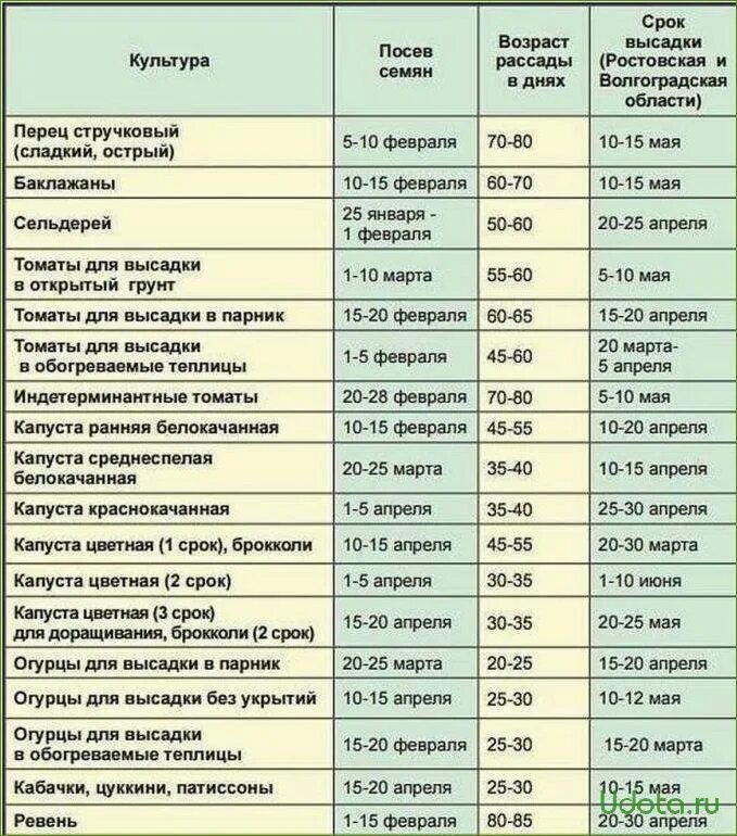 Какого числа можно на улицу