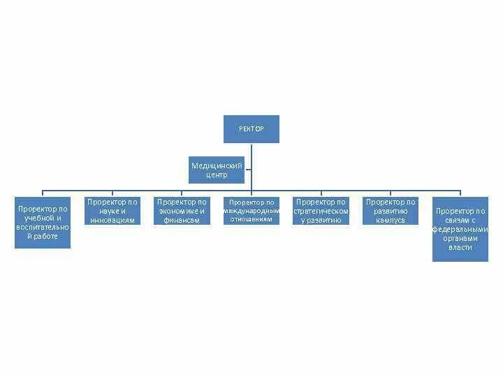 Ректор и проректор. Ректор и проректор. Чиханчин росфинмониторинг. Ректор и проректоры спбгу. Ректор и проректор.