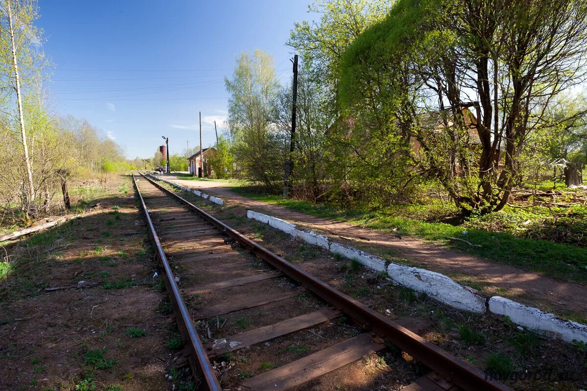 Погода неболчи рп 5. Железная дорога Окуловка Неболчи. Любытино железная дорога. Окуловка Неболчи. Неболчи станция ЖД.