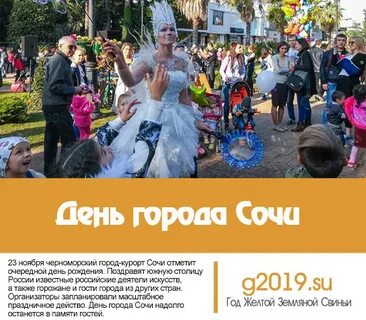 Сочи программа дня