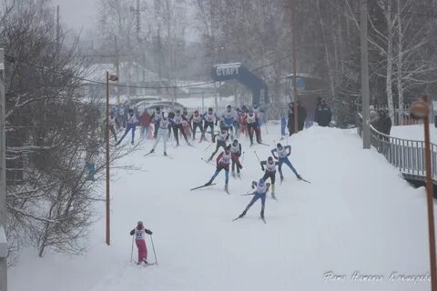 Погода рп5 мишкино курганская