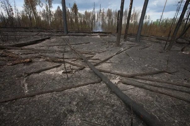 Времена сейчас тяжелые