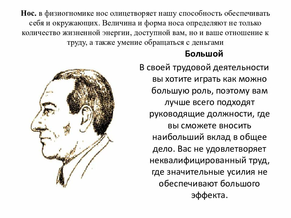 О чем говорит нос мужчины. Физиогномика. Физиогномика нос. Форма носа физиогномика. Нос человека физиогномика.