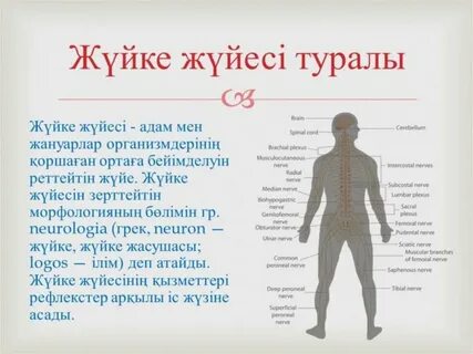 Менің әйелім сонда болған кезде ренжіді