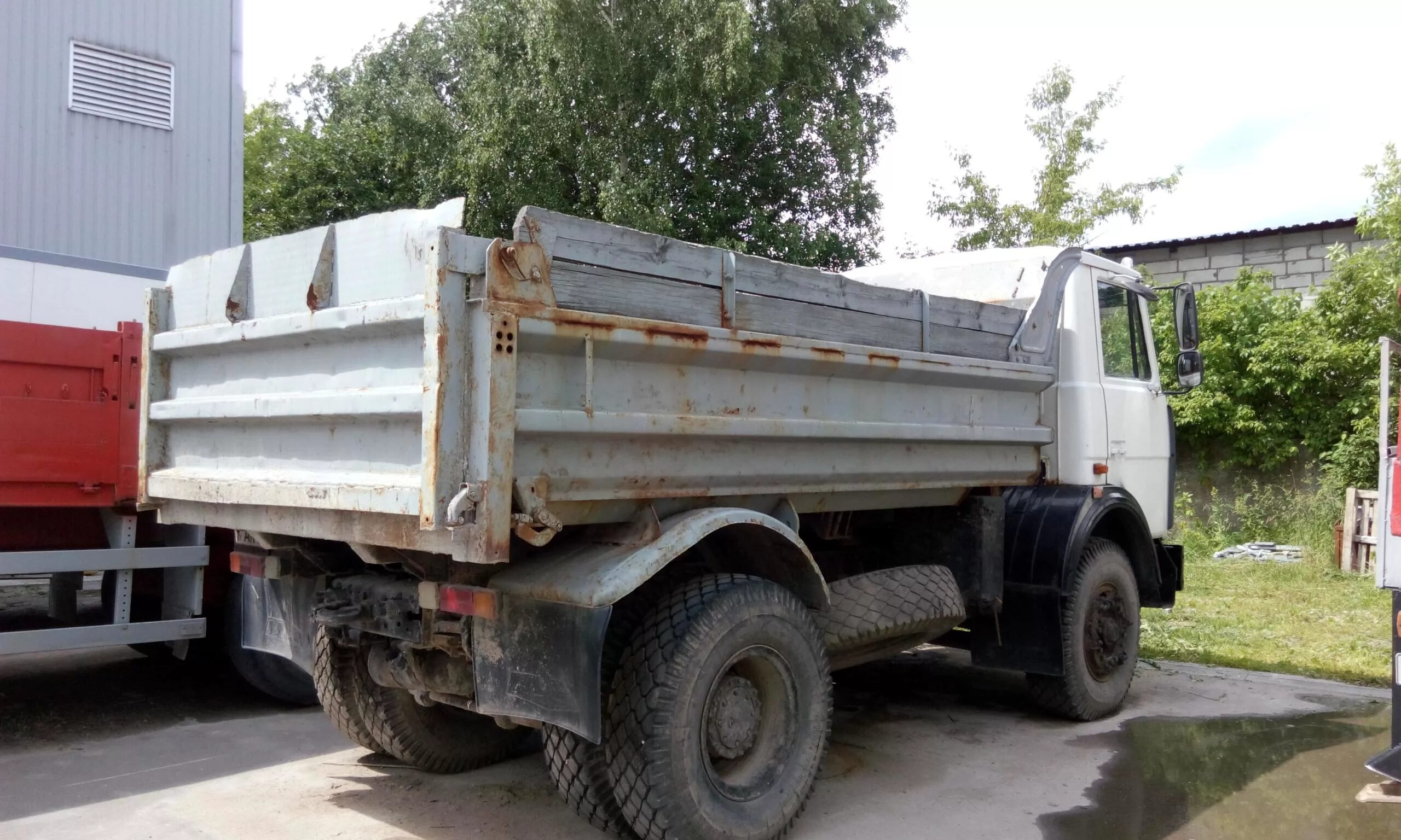 Маз 5551 на односкатной резине. Маз самосвал 5551 бу на авито. Грузовик маз 5551 самосвал. Maz 5551 /4x2/ 1992. Маз 5551 самосвал.
