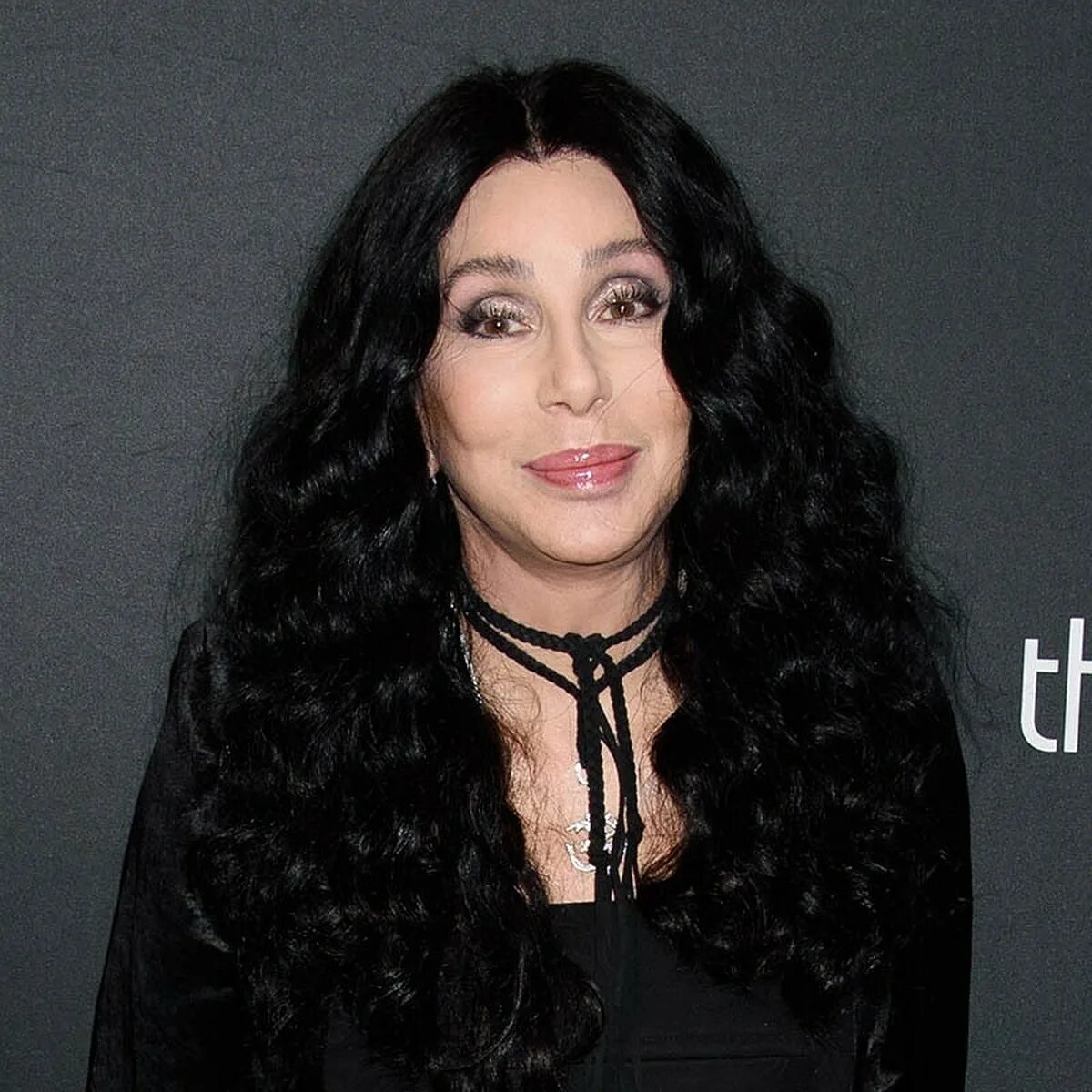 Шерилин саркисян лапьер боно оллмэн. Шер певица. Шер певица сейчас 2020. Шер певица сейчас. Шер.