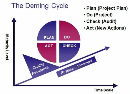 The check project