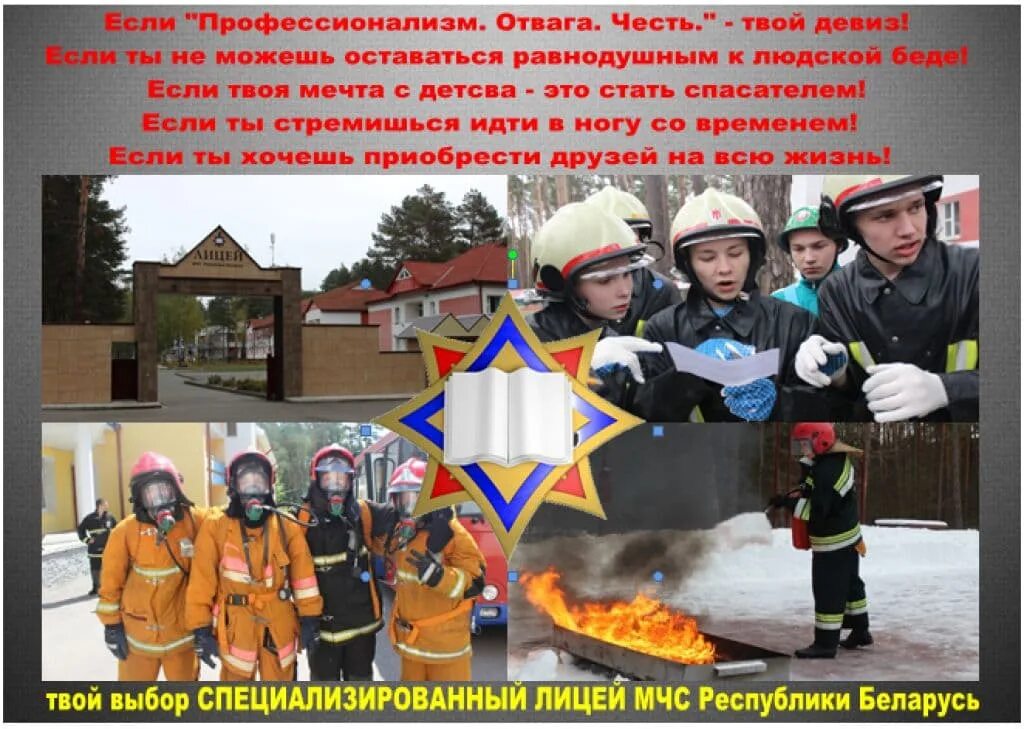 Девиз мчс. Честь отвага и профессионализм. лицей мчс беларусь логотип. университет мчс лозунг.