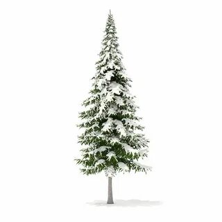Snow 3d model