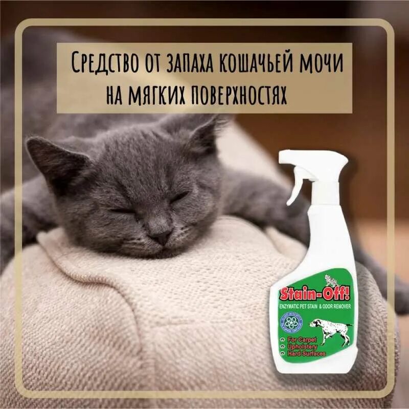 Воняет кошачьей мочой