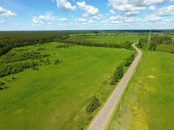 М. 25 гектар земли. Сенокосные угодья в аренду усть-пристань район. Шатура охотхозяйство участки. Оэз ппт «кашира».