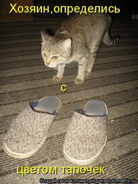 тапочки домашние. домашние тапочки в подарок. что значит тапки. смешные домашние тапочки. стих про тапочки.
