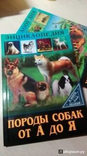 Книги пород