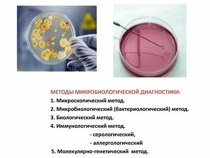 Микробиологические методы металлов