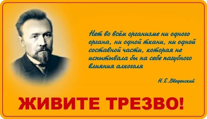 Трезвожить рф. Цитаты про трезвость. Высказывания о трезвости. Афоризмы о трезвости. Цитаты про трезвый образ жизни.