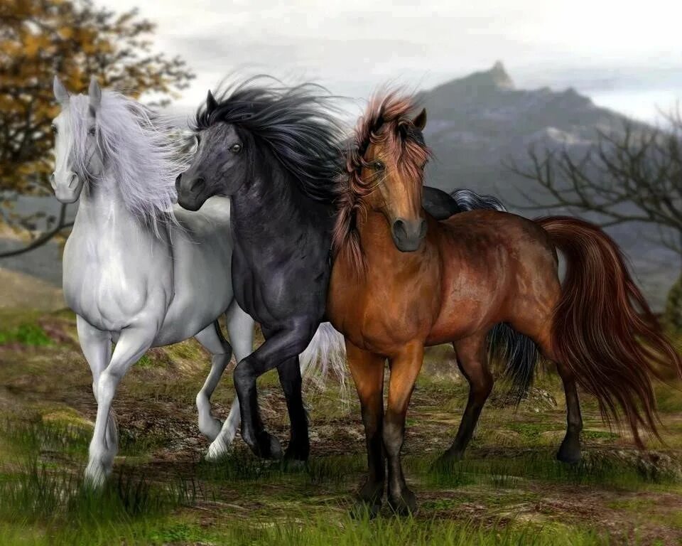 Бонни Маррис лошади. Красивые лошади. Картинки лошадей красивые. Картины с лошадьми на природе.