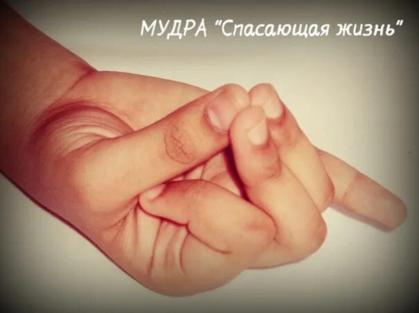 Мудра спасающая жизнь техника. Мудра спасающая жизнь. мудра. спасаюшая жищеь. мудра сердечная спасающая жизнь. мудра спасение жизни.