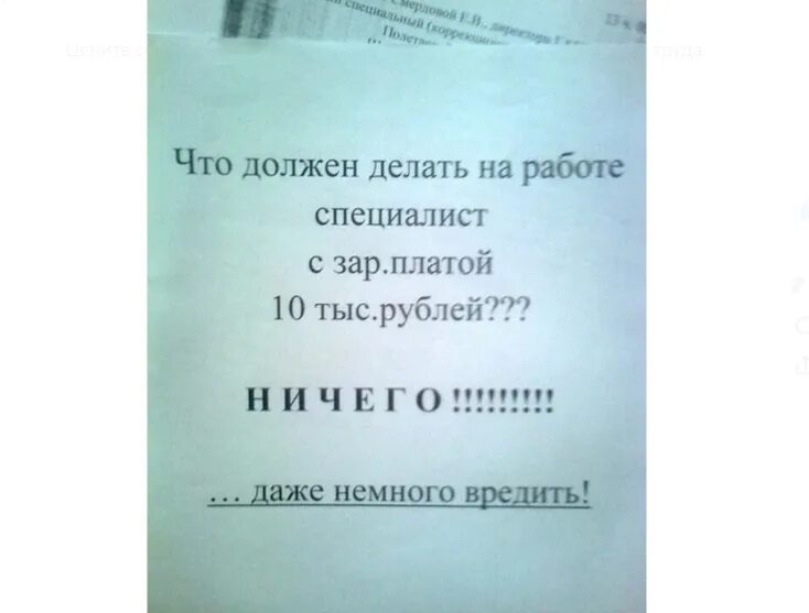 И даже немного вредить. И немножко вредить даже. Что должен делать специалист за 10 тыс. Что должен делать специалист за зарплату даже немножко вредить. Ничего не надо было делать