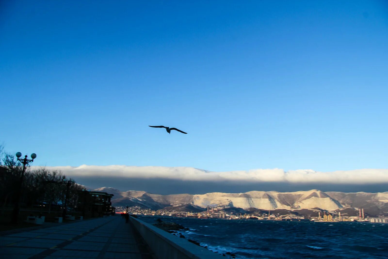 Новороссийск novorossiysk море. Норд-ОСТ В Новороссийске. Цемесская бухта шторм. Норд-ОСТ ветер Новороссийск. Новороссийск море.