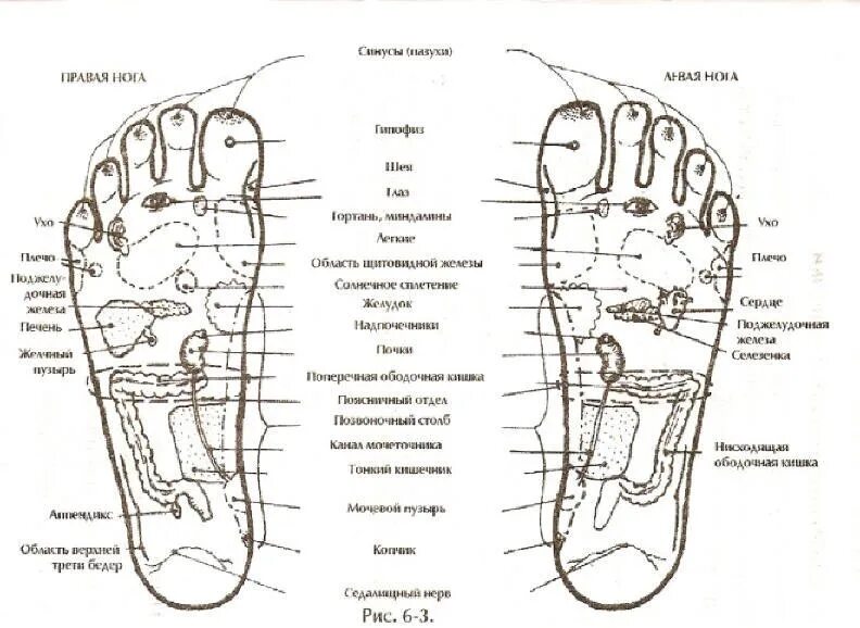Акупунктурные точки на стопе. Акупунктурные точки стопы схема. Активные точки стопы акупунктура. Аккупунктура и аккупунктурные точки на стопе. Значение правой ноги