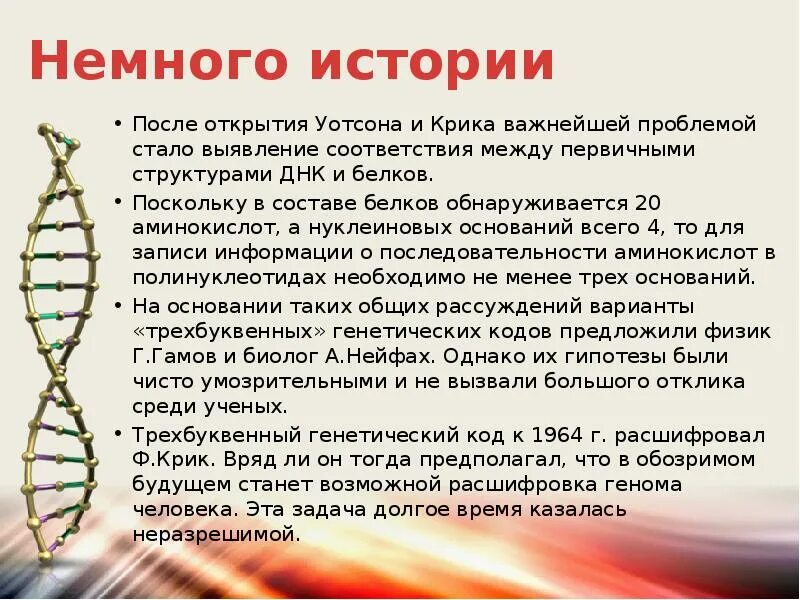 При расшифровке генома моркови было установлено 20. Открытие ДНК кратко. Геном человека задачи. История открытия ДНК. Открытие ДНК краткое сообщение.