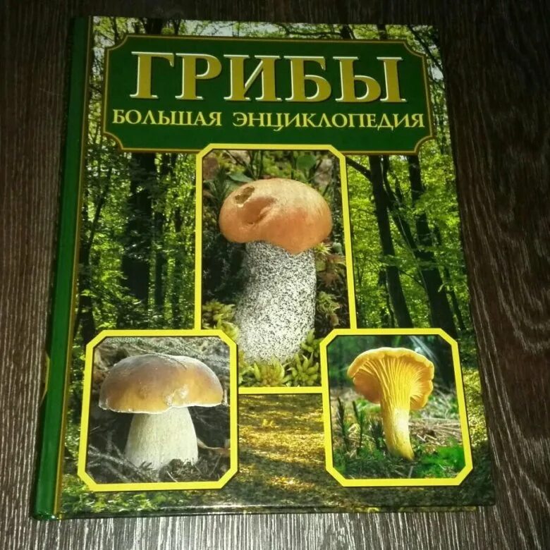 Грибы книга купить