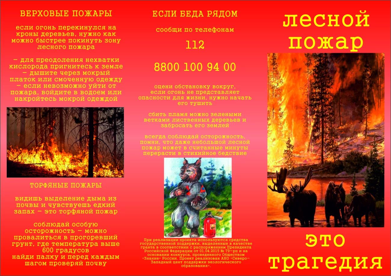 Пожарная безопасность в лесу. Листовка лесные пожары. Пожарная безопасность в лесу. Памятка по пожарной безопасности в лесу. Памятка противопожарная в лесу.