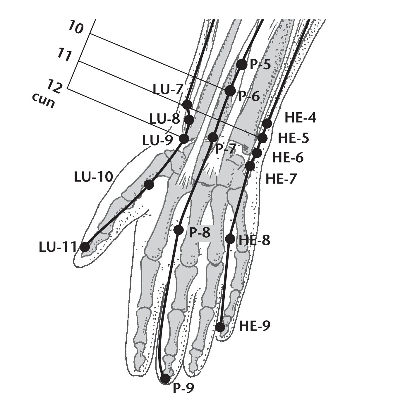 Точка Юй Цзи расположение. Точка p 10 Юй Цзи. Лин Дао точка акупунктуры. Цзин Цюй точка.