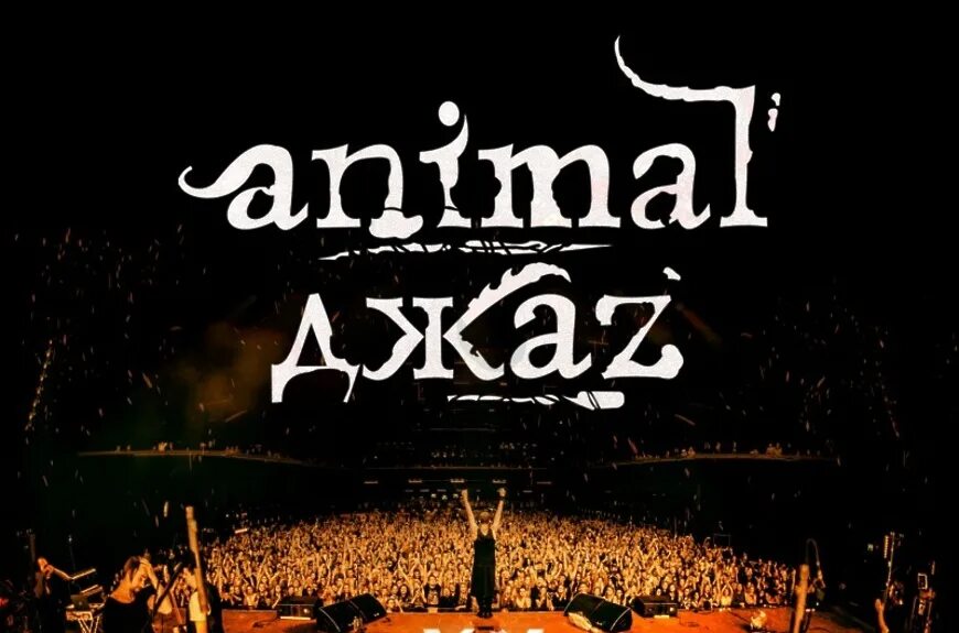 Animal ДЖАZ концерты 2022. Animal ДЖАZ концерт. Animal ДЖАZ постеры. Animal ДЖАZ фото 2004. Animals концерт