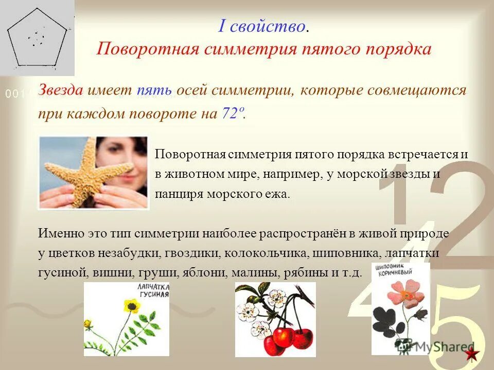 Симметрия пятого порядка. Поворотная симметрия. Ось симметрии пятого порядка. Поворотная симметрия 5-го порядка. Симметрия 5 порядка.