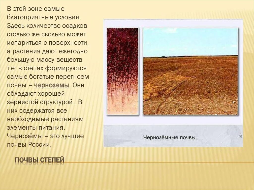 Природные зоны степи почва. Почвы степи в России. Почвы зоны степей в России. Почвы степей России география 8 класс. Почвы Степной зоны.