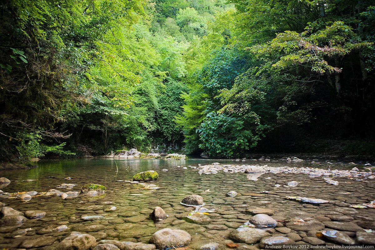 абхазия природа фото. живописная абхазия. лоо горы. абхазия. речка лапста абхазия.