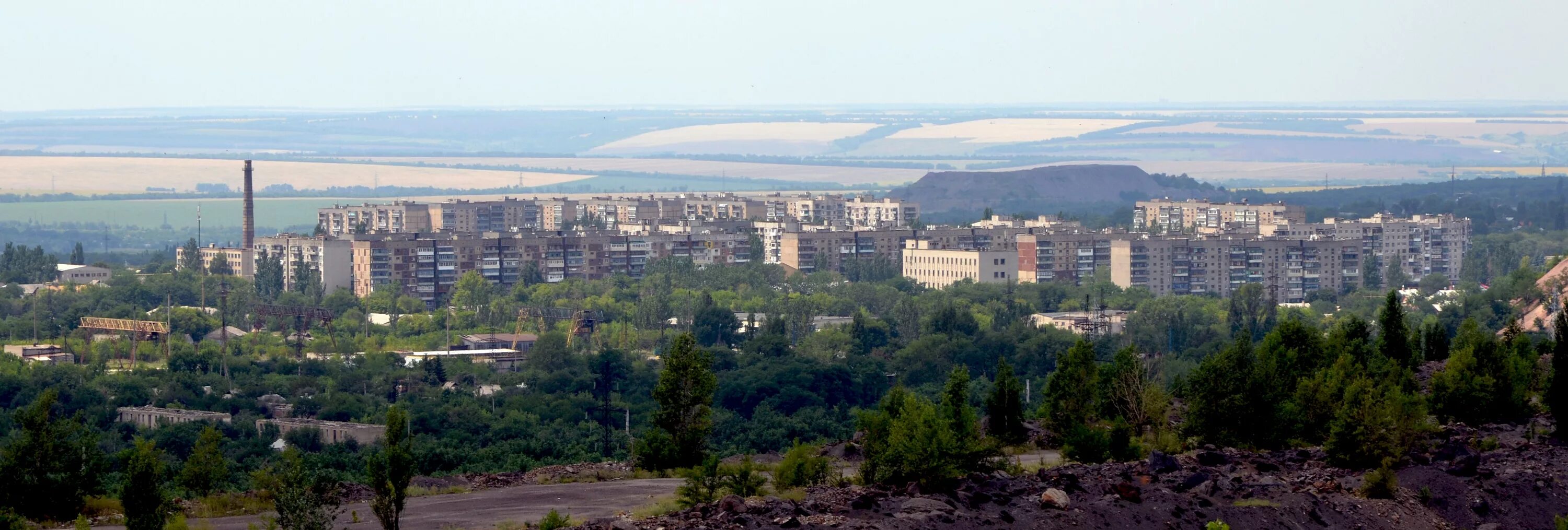 Горловка птица