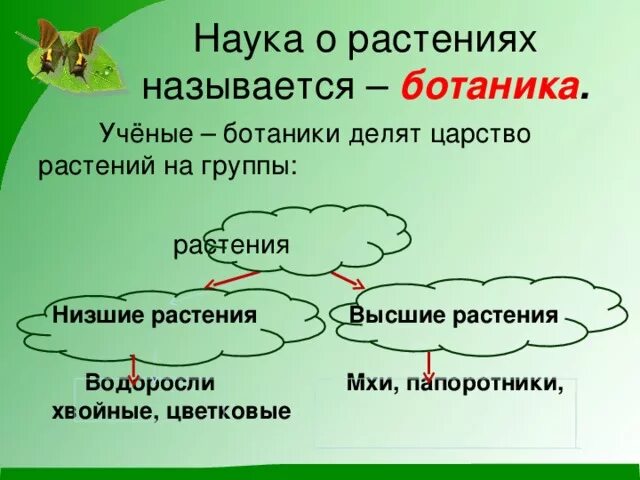 Ученые – ботаники делят царство растений на группы. Группы растений 3 класс окружающий мир. Царство растений 3 класс окружающий мир. Наука о растениях называется. Как называется данная группа растений группа 1