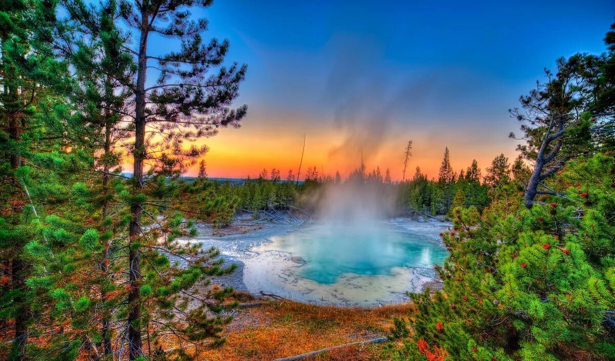 Йеллоустонский национальный парк фото Man Dies After Falling Into Yellowstone Hot Spring
