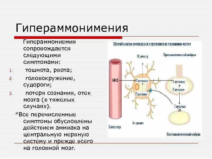 Анализ на аммиак в крови. Гипераммониемия 1 типа биохимия. Гипераммониемия дефект фермента. Клинические симптомы при гипераммониемии. Гипераммониемия патогенез.