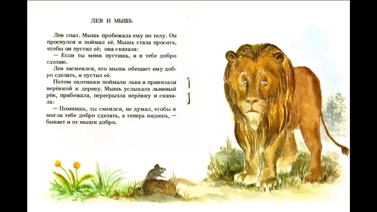 Прочитайте басню льва толстого. Басня л н Толстого Лев и мышь. Басня Льва Николаевича Толстого Лев и мышь. Рассказ Толстого Лев и мышь. Рассказ Льва Толстого Лев и мышь.