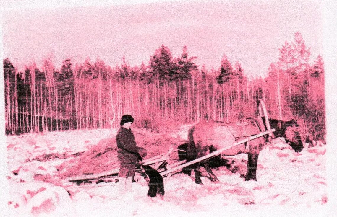 Козиха новосибирская область. Новокузьминка ордынский. Кто погрыз дамбу. Новокузьминка. Новокузьминка ордынский.
