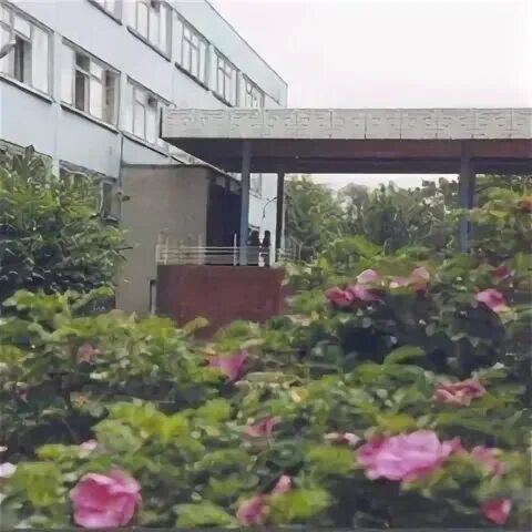 Сош 29 тверь