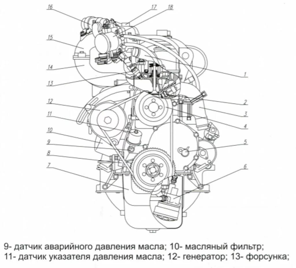 Датчик давления масла Газель бизнес УМЗ 4216. УАЗ 421 мотор датчик давления масла. ЗМЗ 402 датчики на двигателе. Схема мотора УМЗ 4216.