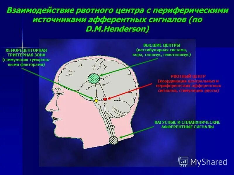 Рвотный рефлекс мозг