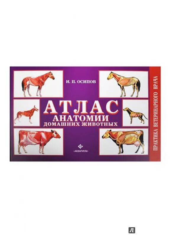 Анатомия крс атлас. Акаевский атлас. Атлас анатомии животных. Юдичев, с. Атлас анатомии животных.