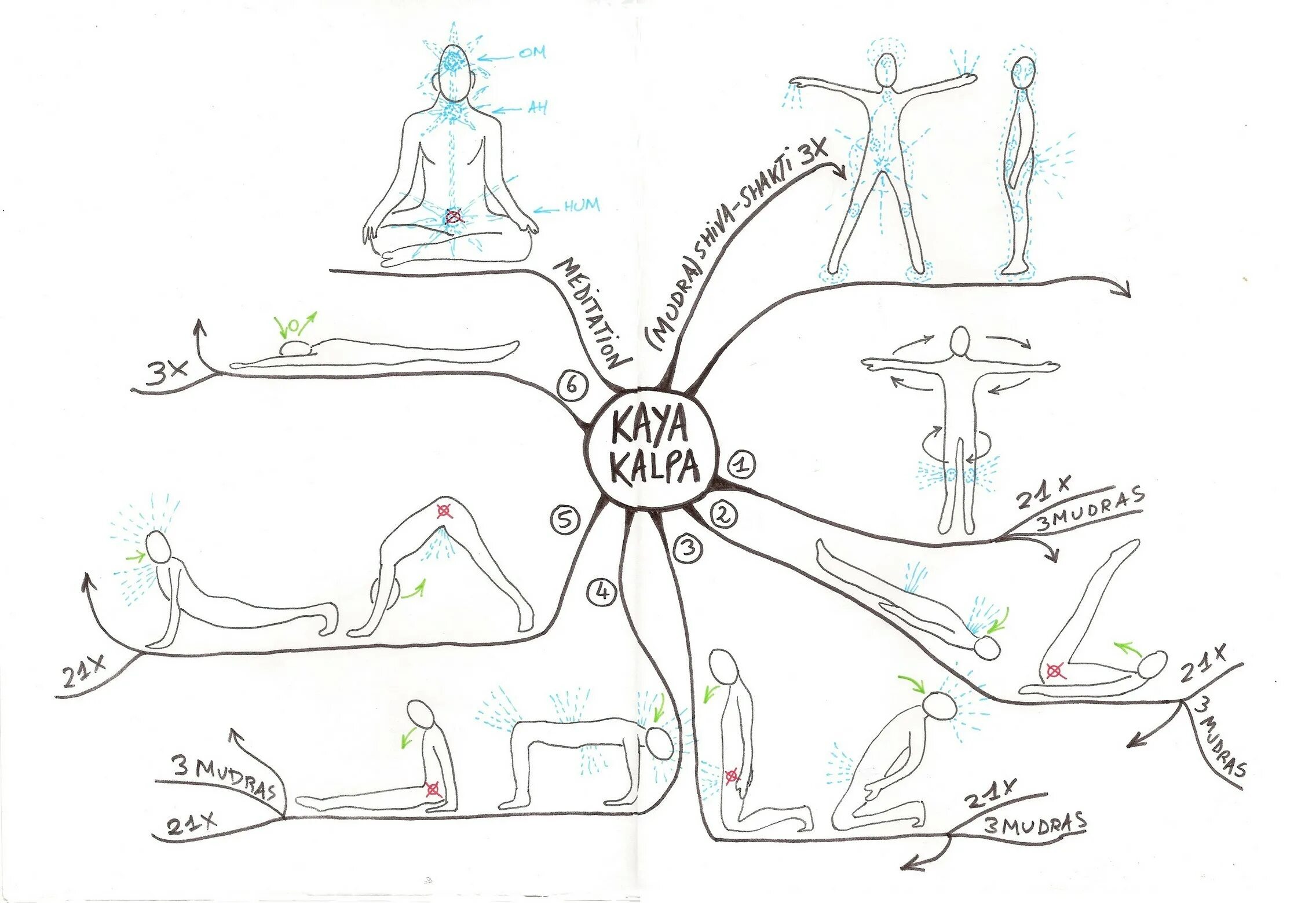 Йога майнд. Кайя кальпа йога. карта йоги. кайя кальпа метод омоложения. mind map йога студио.